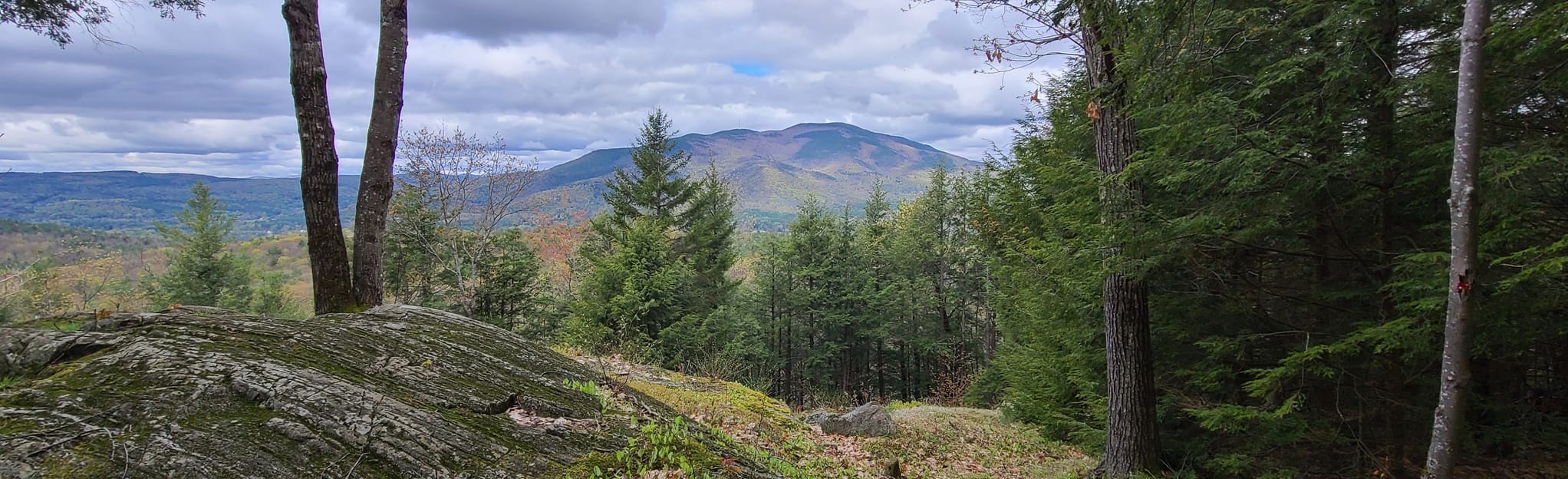 AllTrails Cornish Town Forest 16 Reviews, Map New Hampshire