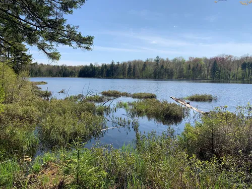 2023 Best Paddle Sports Trails in Otter Lake | AllTrails