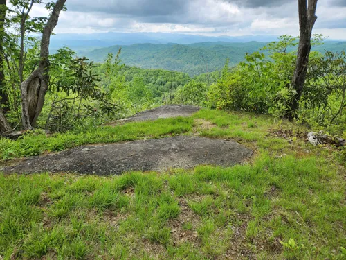 10 Best Hikes and Trails in Jones Gap State Park AllTrails