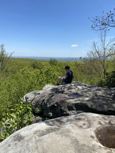 2023 Best Backpacking Trails in Laurel Ridge State Park | AllTrails