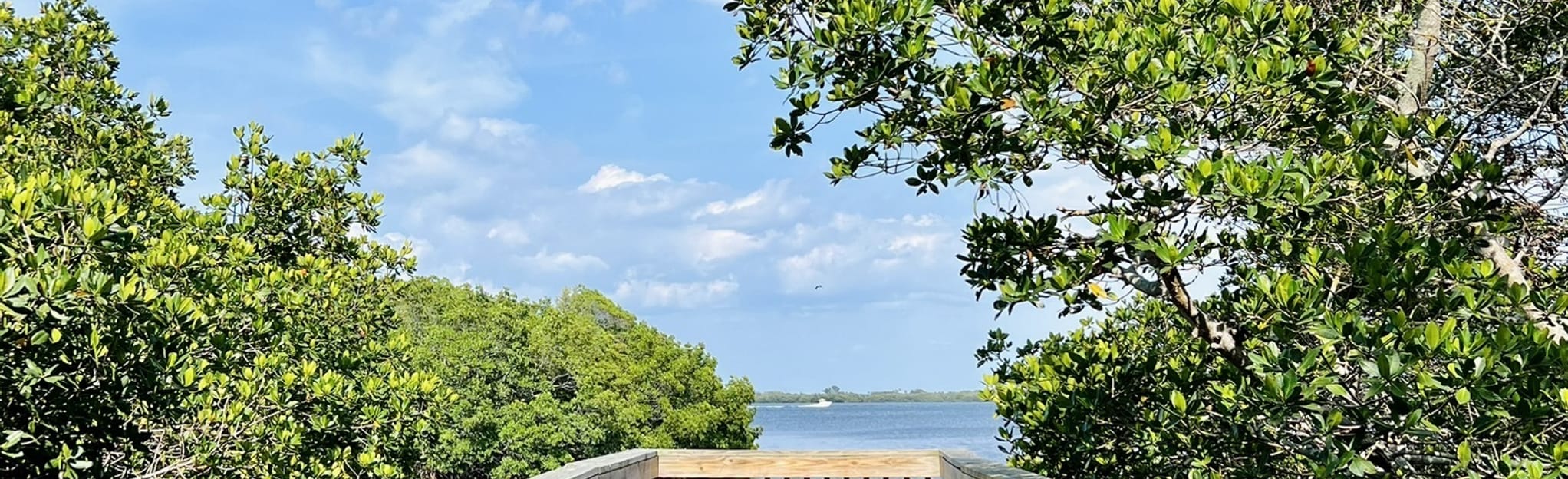 Grassy Point 25 Reviews, Map Florida AllTrails