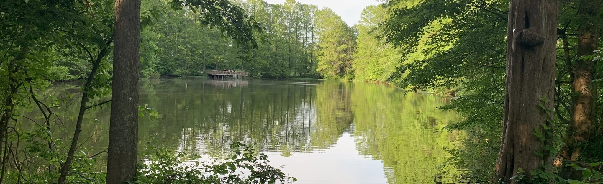 Keeley Park Loop, North Carolina 65 Reviews, Map AllTrails