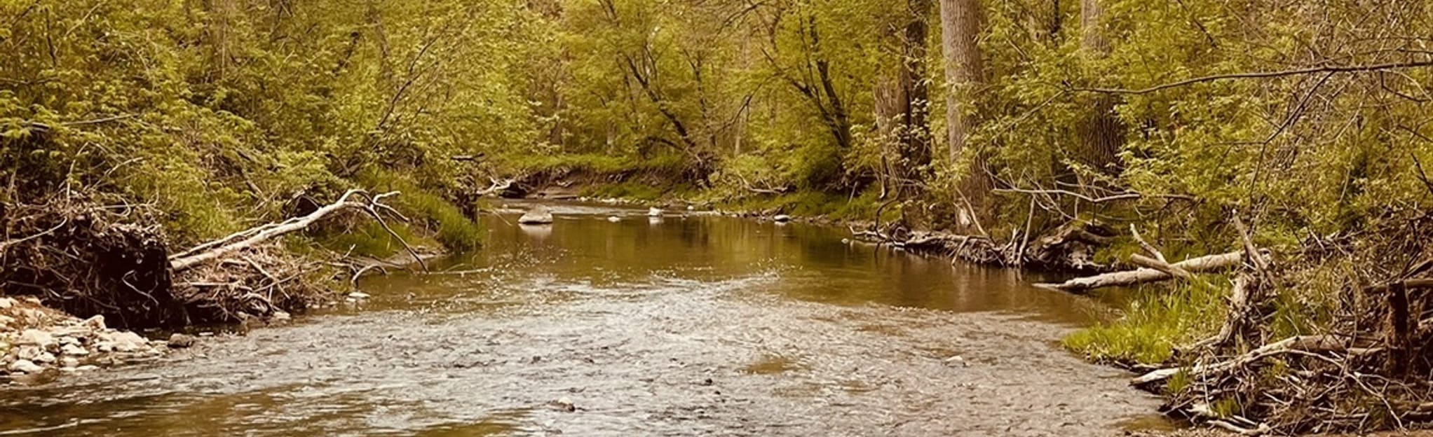 AllTrails Petrifying Springs Trail 348 Reviews, Map Wisconsin