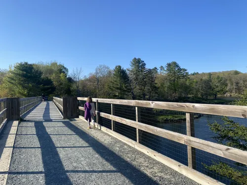 Peaceful Walks: 5 Beautiful Hiking Trails in Belfast – Maine