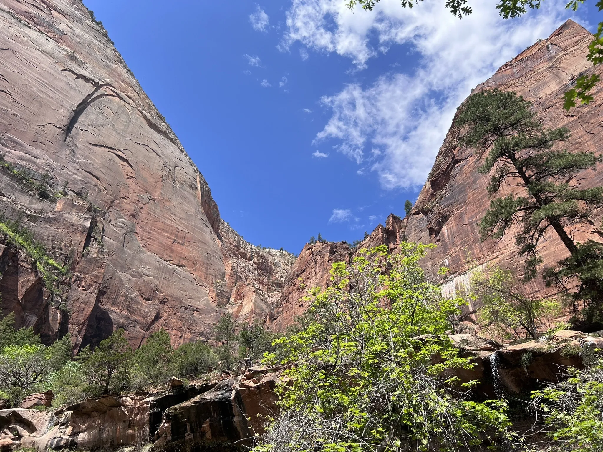 Emerald Pools via Kayenta Trail