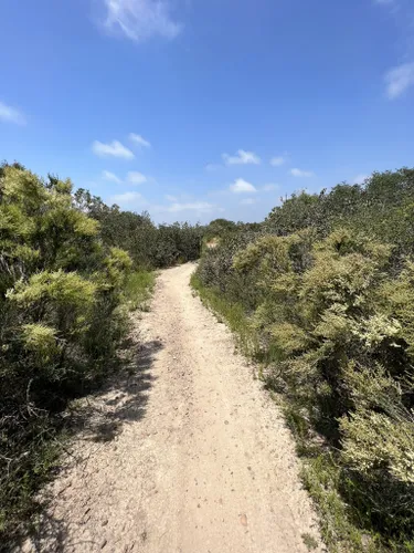 Best Hikes and Trails in Del Mar Mesa Preserve | AllTrails