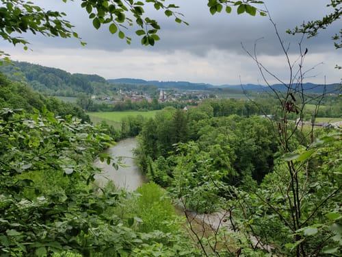 Tettnangerwald ab Laimnau