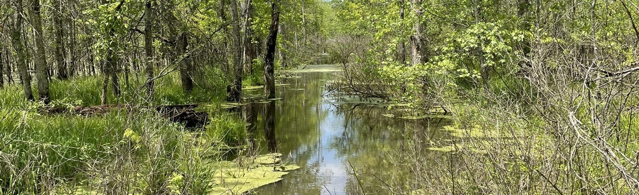 Beanblossom Bottoms Nature Preserve 398 Reviews, Map Indiana AllTrails
