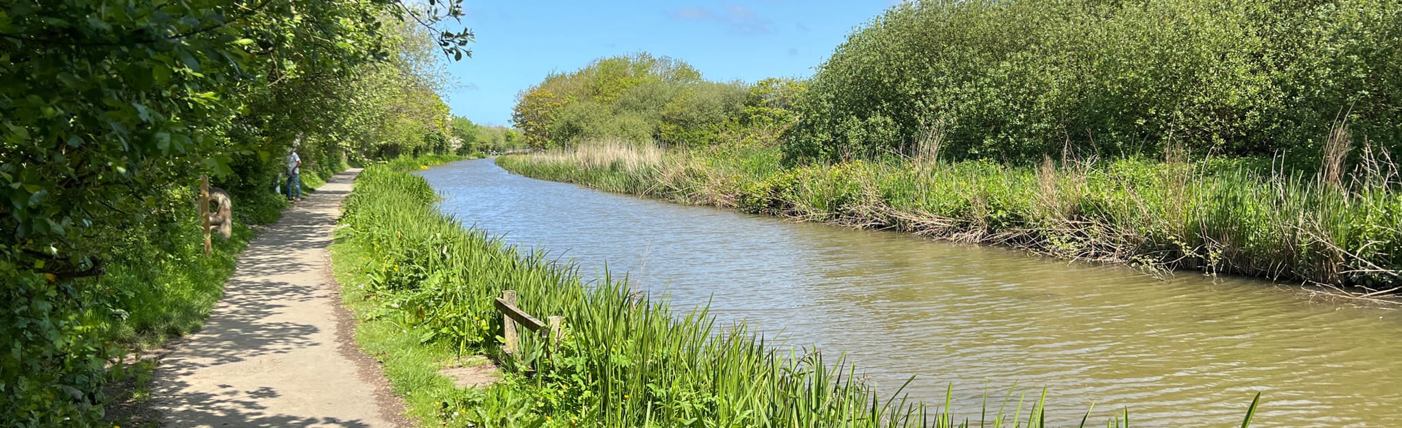 Bude and Upton Circular, Cornwall, England 19 Reviews, Map AllTrails