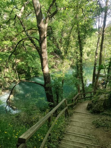 2023 Best Wild Flowers Trails in Riserva Naturale di Castelvecchio ...