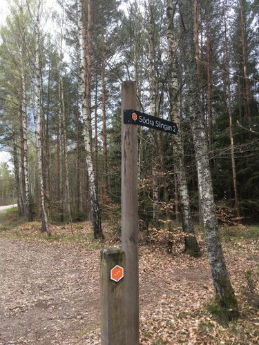 Best Hikes and Trails in Åsnen National Park | AllTrails