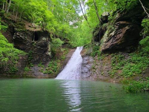 Paradise Falls Trail, Arkansas - 187 Reviews, Map