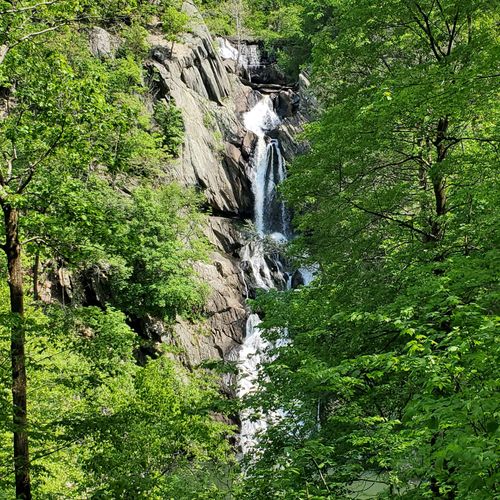 Best Hikes and Trails in High Falls Conservation Area | AllTrails