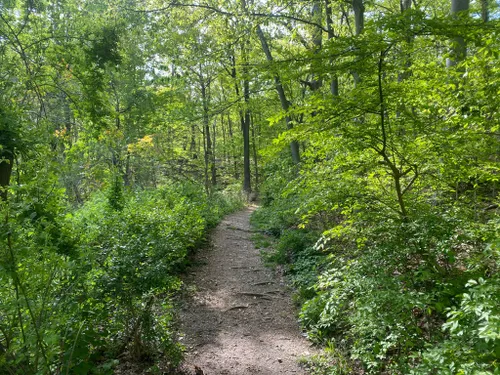 Best Hikes and Trails in Ossining | AllTrails