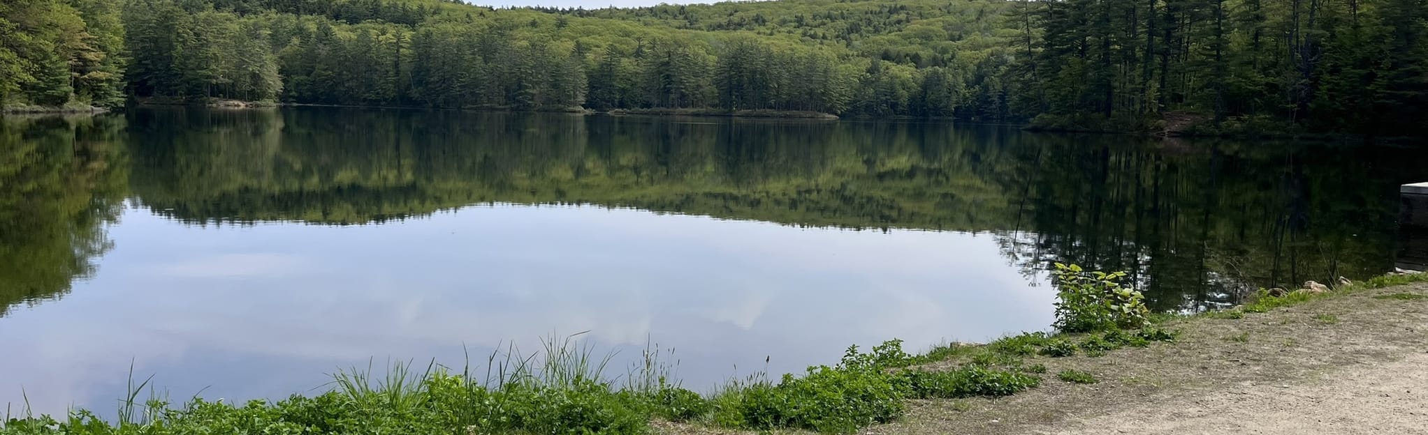 Goose Pond Loop, New Hampshire 551 Reviews, Map AllTrails