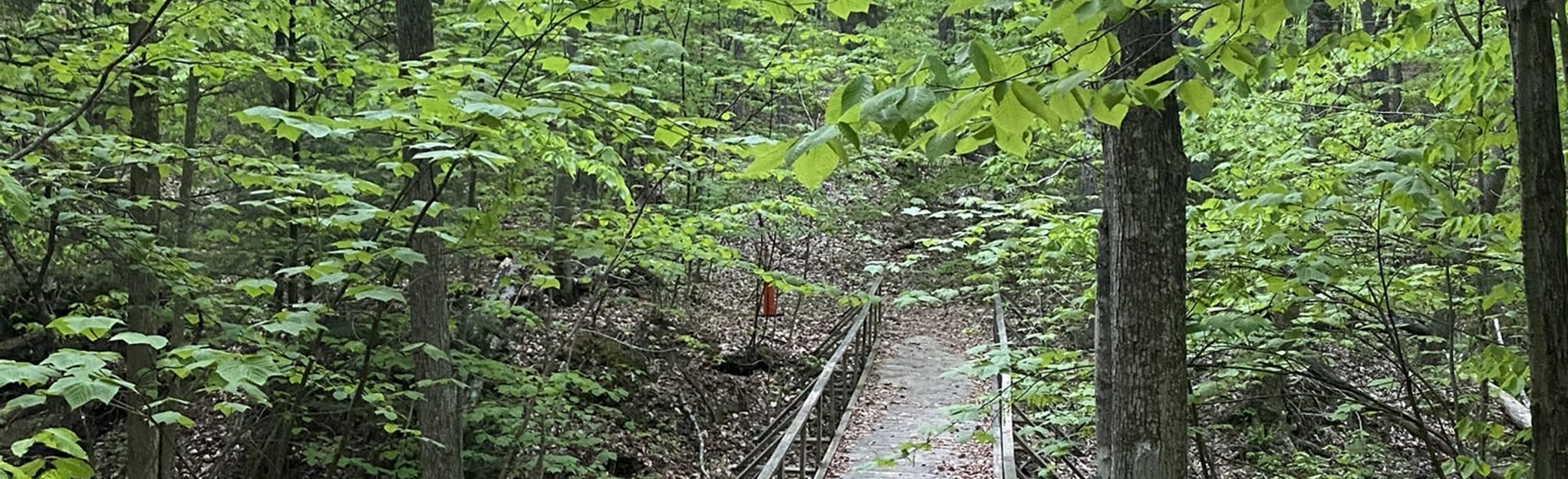 Pettingill Park Loop, Maine 13 Reviews, Map AllTrails