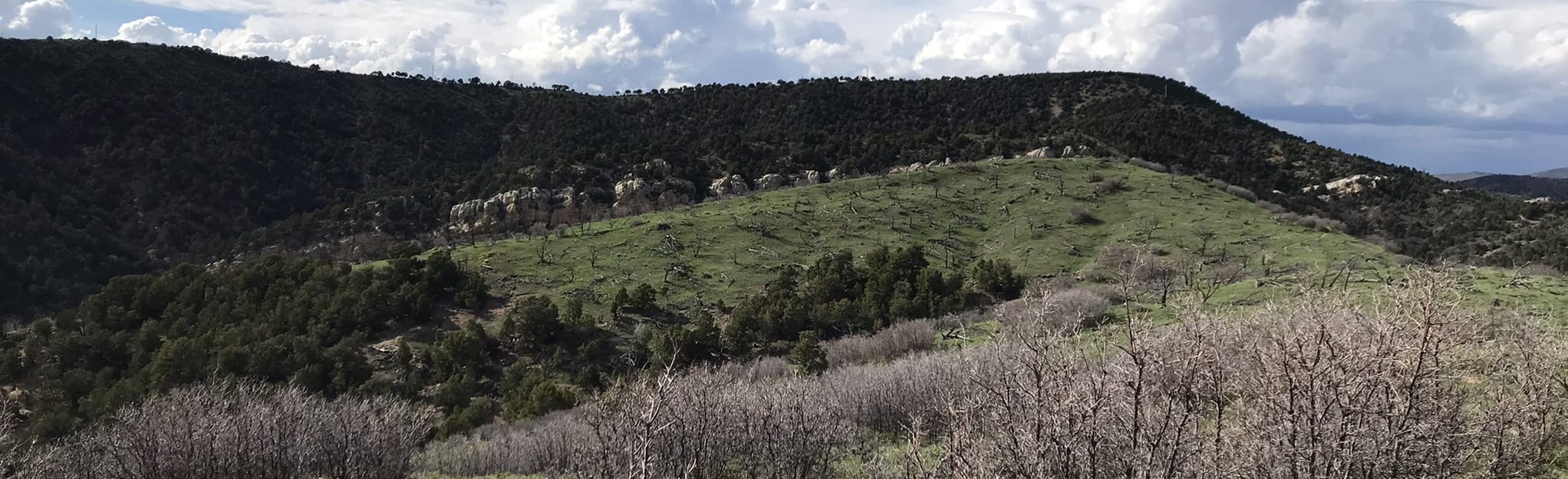 Meeker Ute Park Trail 64 Reviews, Map Colorado AllTrails