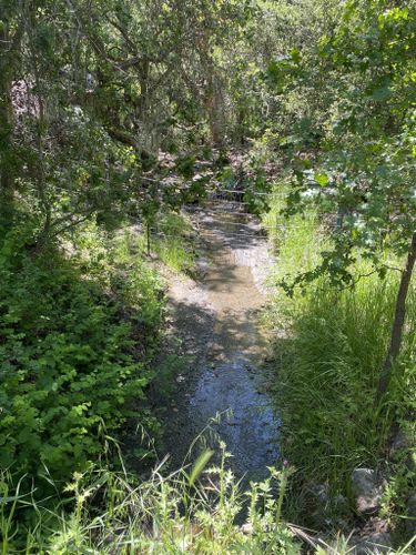 Best Hikes And Trails In Bishop Ranch Regional Open Space Preserve Alltrails