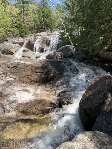 Best Hikes and Trails in Step Falls Preserve | AllTrails