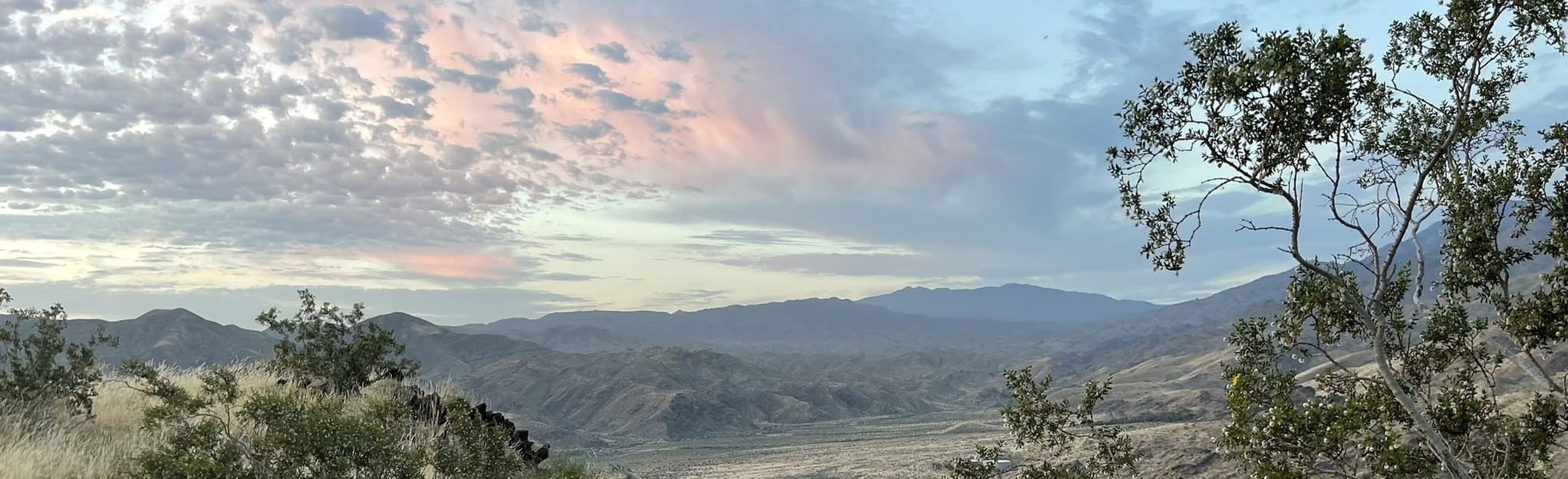 Simonetta Kennett Viewpoint via -