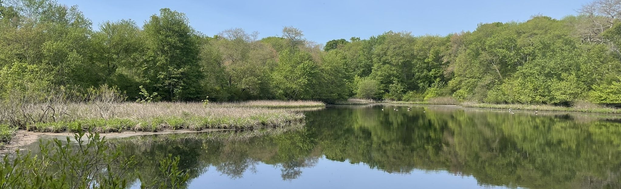 Long Island Greenbelt Trail: Lakeland County Park To Blydenburgh Park ...