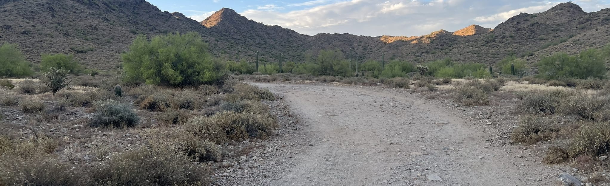 Dynamite Trail, Arizona 1,981 Reviews, Map AllTrails