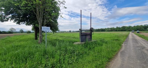 Naturpark Helmlingen: Altrheinweg