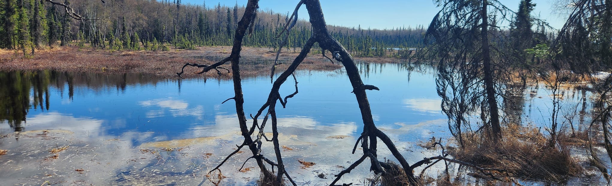 Kenai National Wildlife Refuge 211 Reviews, Map Alaska AllTrails