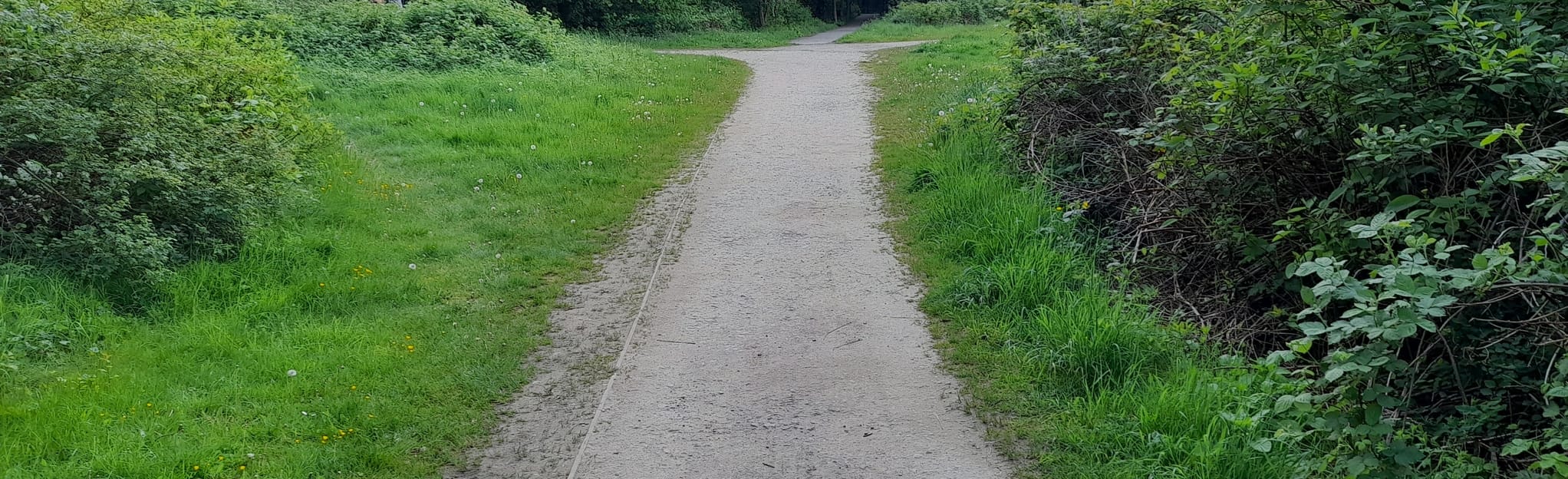 Broxtowe Country Park Trail 9 Fotos Nottinghamshire, England AllTrails
