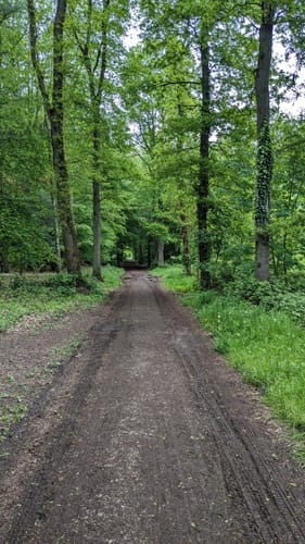 Hardter Wald: Rundweg A1