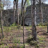 Black Mountain Trail, Tennessee - 421 Reviews, Map | AllTrails