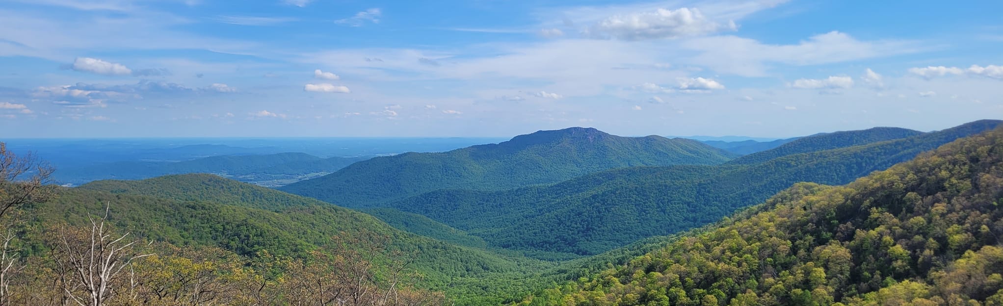 Catlett Mountain Loop via Pinnacles Overlook 114 Reviews, Map Virginia AllTrails