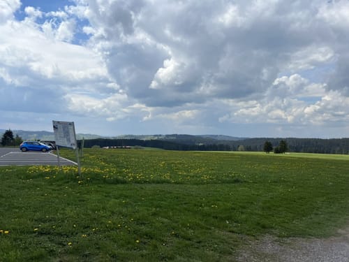 Rennsteiglauf Marathon 2016