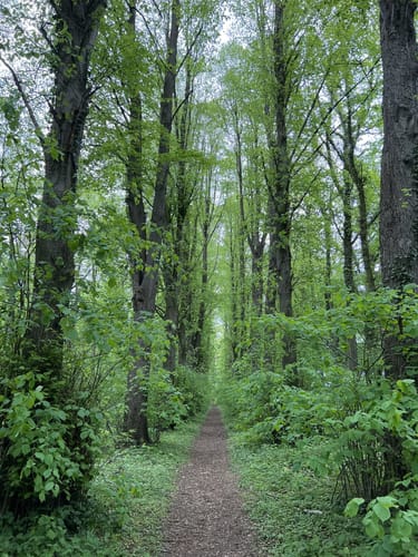 Scharbeutzer Heide und Großer Pönitzer See