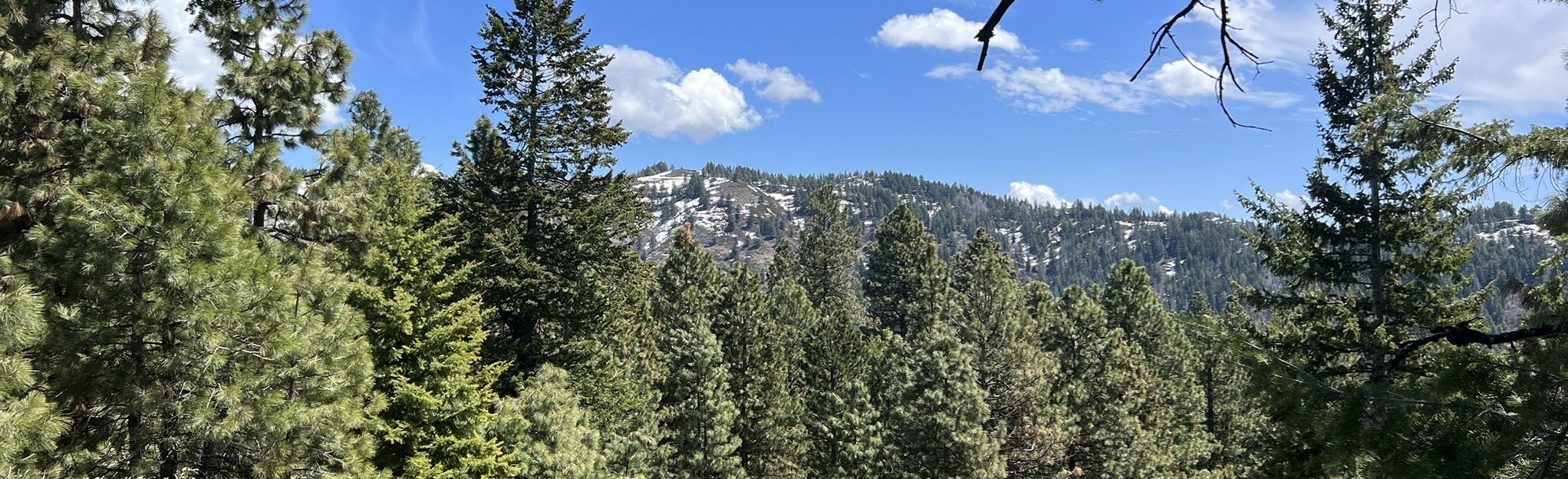 Snowshoe Hare Loop via Ponderosa Pine Overlook 244 Reviews, Map