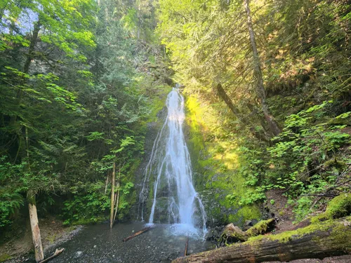 10 Best waterfall trails in Olympic National Park AllTrails