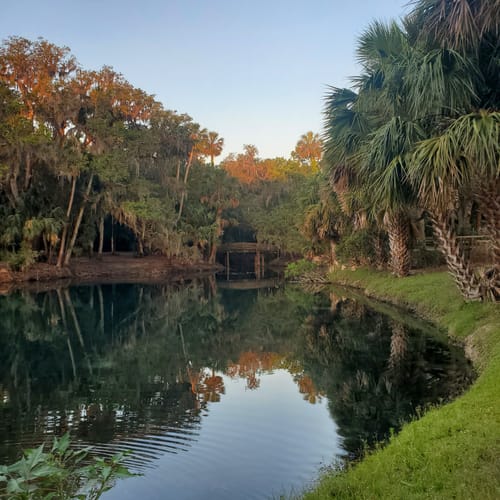 2023 Best Easy Trails in DeBary AllTrails