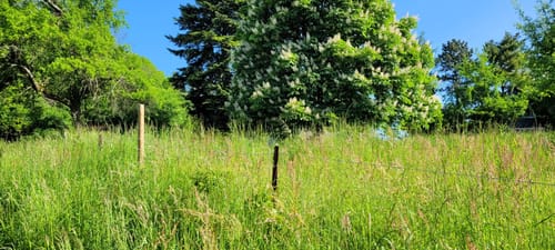 Obstweg Leichlingen