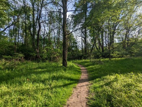 Best Hikes And Trails In Quail Hollow State Park 