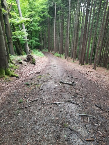 Innschleife Wasserburg