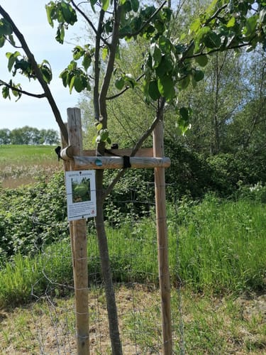 Rundweg über Reddelich