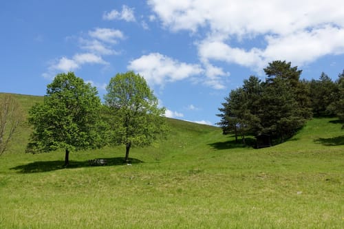 Von Titting zur Burgruine Bechthal