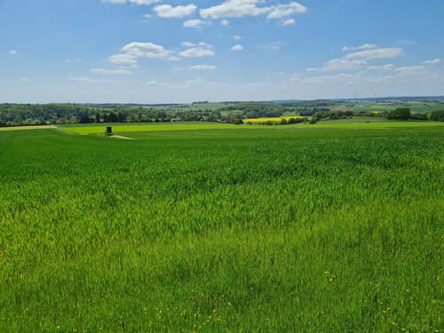 HeinzemannTour (Premiumwanderweg)