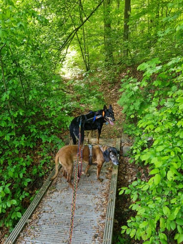 HeinzemannTour (Premiumwanderweg)