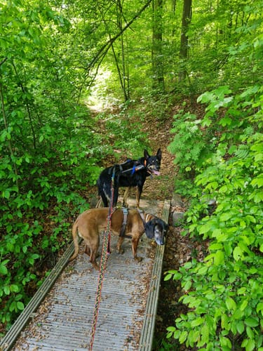 HeinzemannTour (Premiumwanderweg)
