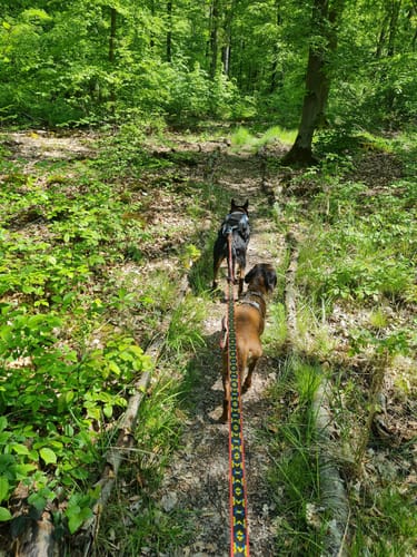 HeinzemannTour (Premiumwanderweg)