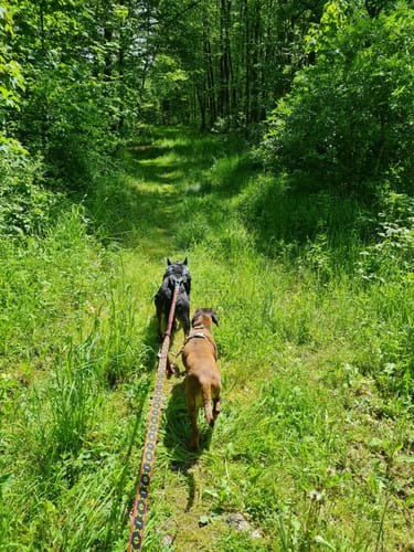HeinzemannTour (Premiumwanderweg)