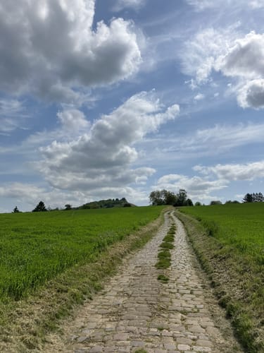 WT3 Kleine Hügeltour durch Wiesen, Wald und Weinberge