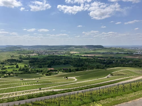 WT3 Kleine Hügeltour durch Wiesen, Wald und Weinberge