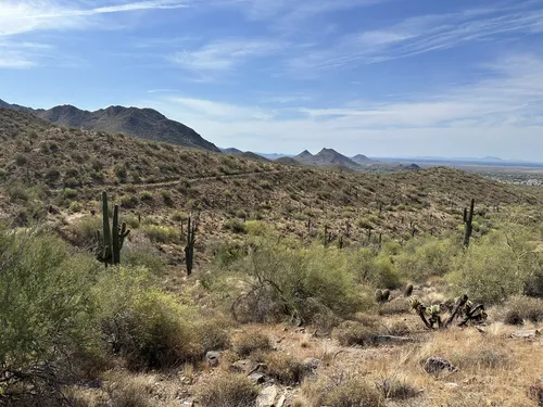 Arizona hill's 10 Best mountain biking trails in Fountain Hills | AllTrails